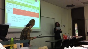 Deterministic Models of Operations Research Case Study