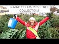 CHARITY CHRISTMAS TREE COLLECTION WITH MY GRANDPA | Niomi Smart