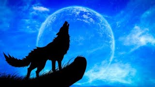 Details THE MONSTROUS HISTORY OF WEREWOLVES Guide