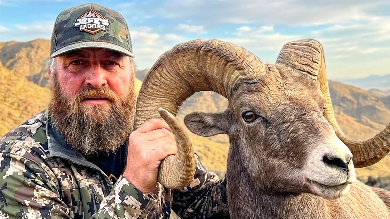 Huntable Rams I Hunted Rams In Arizona For The First Time! - YouTube