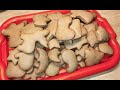 Delicious Soft CHRISTMAS GINGERBREADS Soft Immediately After Baking 