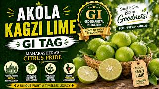 Akola Kagzi Lime GI Tag | Maharashtra’s Citrus Pride
