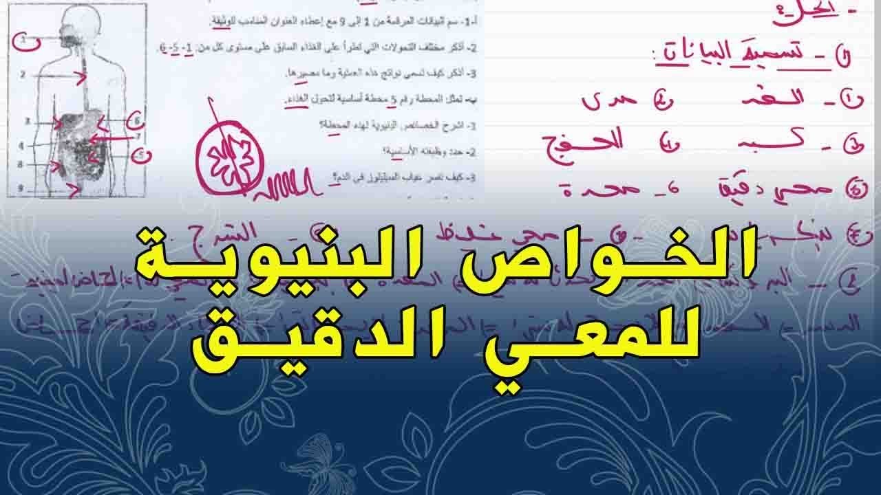 علوم طبيعية للسنة الرابعة متوسط تمرين على الهضم