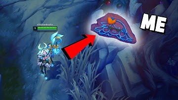 RIOT PUT ME IN LEAGUE OF LEGENDS