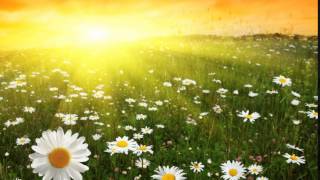 In The Morning Light ( tune from the seventies ) screenshot 4