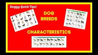 Dog Behavior problems or Breed characteristic? Dog breed problems.