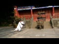 Wu Dang Mi Chuan Tai Ji Sword 【explain】 武当秘传太极剑 Xu Wei Han 许微含