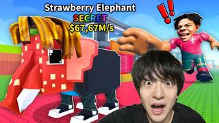 ROBLOX LIVE