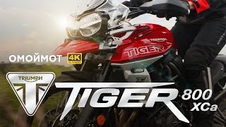 видео: Triumph Tiger 800 XCa 2018 тест и обзор мотоцикла | Омоймот картинка: Triumph Tiger 800 XCa 2018 тест и обзор мотоцикла | Омоймот