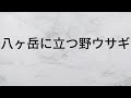 八ヶ岳に立つ野ウサギ さだまさし 【歌詞朗読】