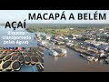 Viagem de barco Macapá a Belém, transporte do açaí navegando pelas águas do sabor da Amazônia