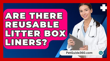 Are There Reusable Litter Box Liners? - PetGuide360.com