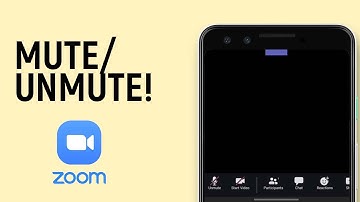 How to Mute or Unmute in Zoom Meeting