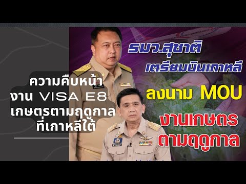 วีดีโอ: อาหารสัตว์: ประเภท