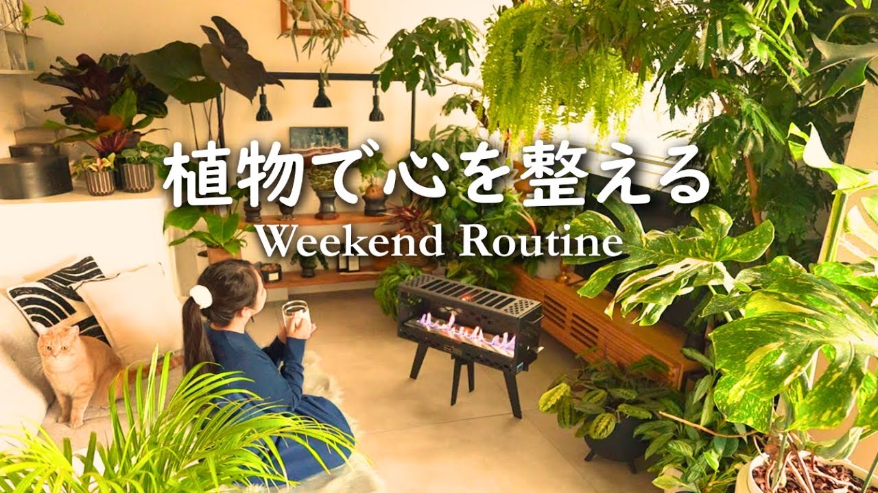 冬の観葉植物ケアで部屋と心を整える｜暖炉で過ごす静かな週末のルーティン