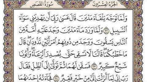 سورة القصص💚 بصوت الشيخ محمد أيوب🎧
