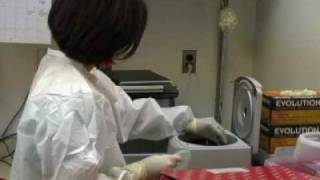 State's first swine flu vaccines arrive  [Delaware Online Ne