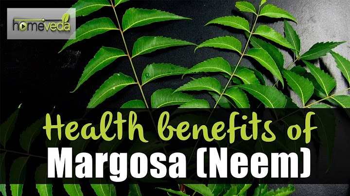 Why is Neem Good For You?