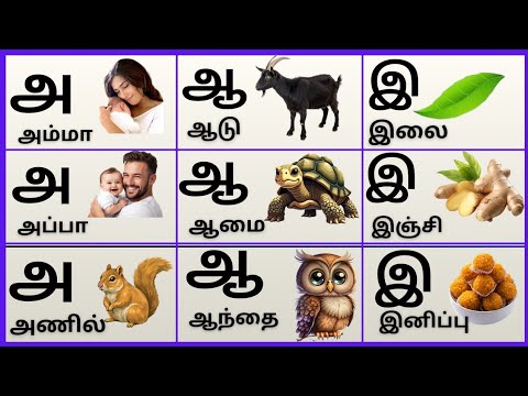 Tamil alphabets/அஆஇஈ/உயிர்எழுத்துக்கள்/Uyireluthukkal @PEEKABOO-ff8wq #uyireluthukkal
