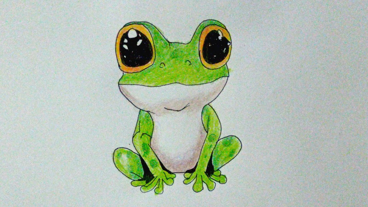 วาดการตูนกบ 