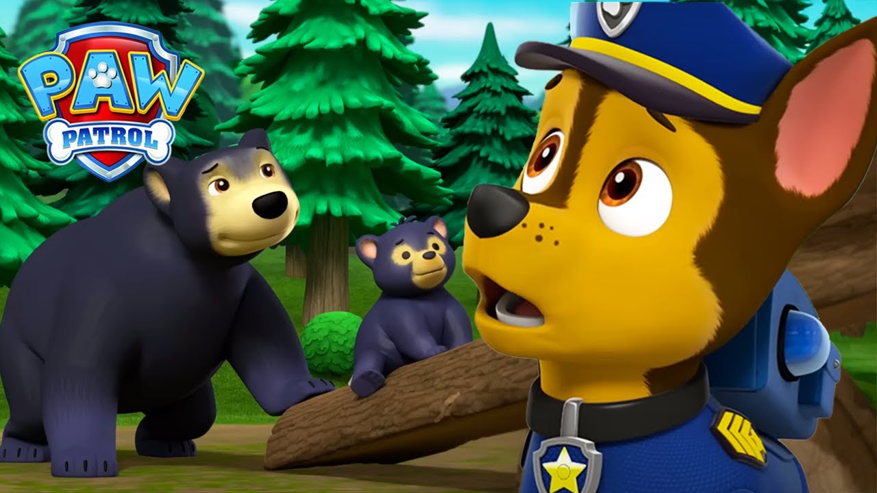 Chase redder kattekillinger fra en sulten bjørnemor | PAW Patrol | På Dansk | Tegnefilm for børn