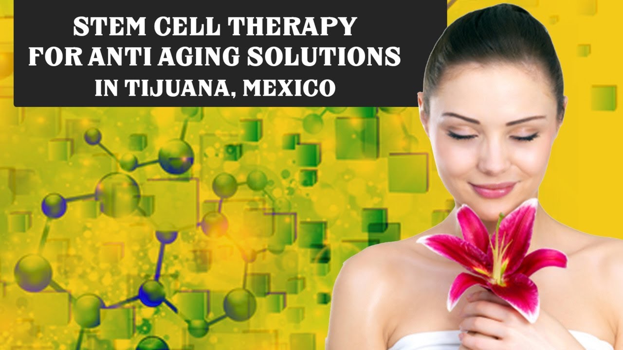 Affordable Package for Stem Cell Therapy for Anti Aging Solutions in ...