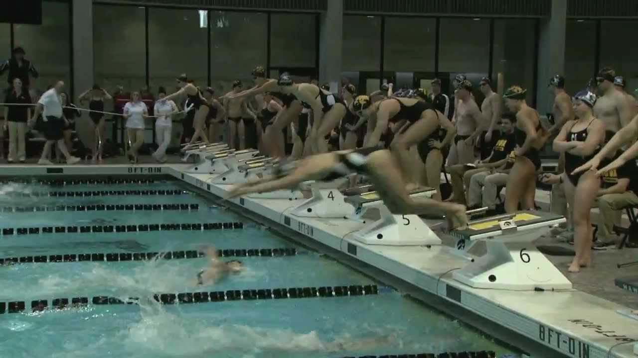 Iowa Men's and Women's Swimming and Diving Defeats Northwestern