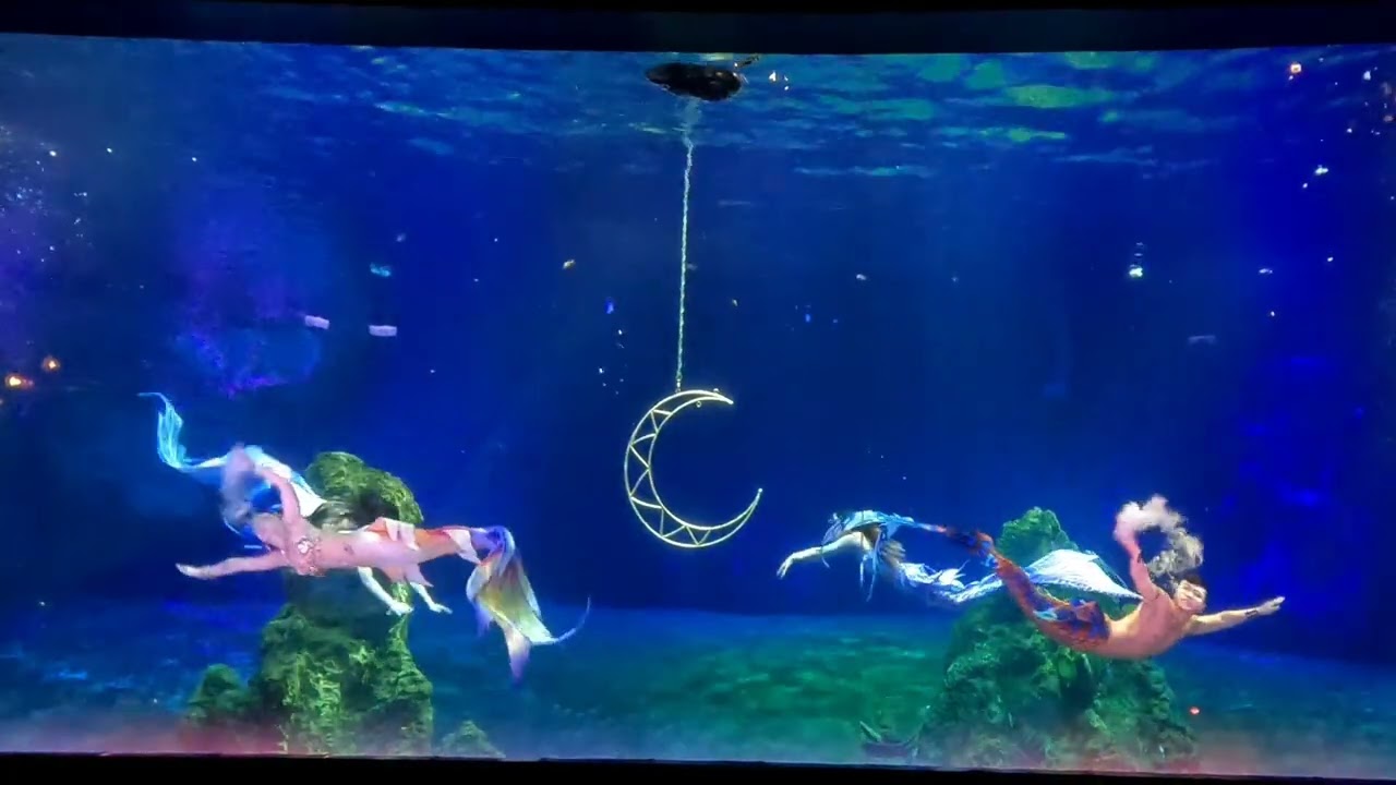 2024／10／30日遠雄海洋公園浪漫巨獻 #美人魚實境表演 - 印度洋心之旅