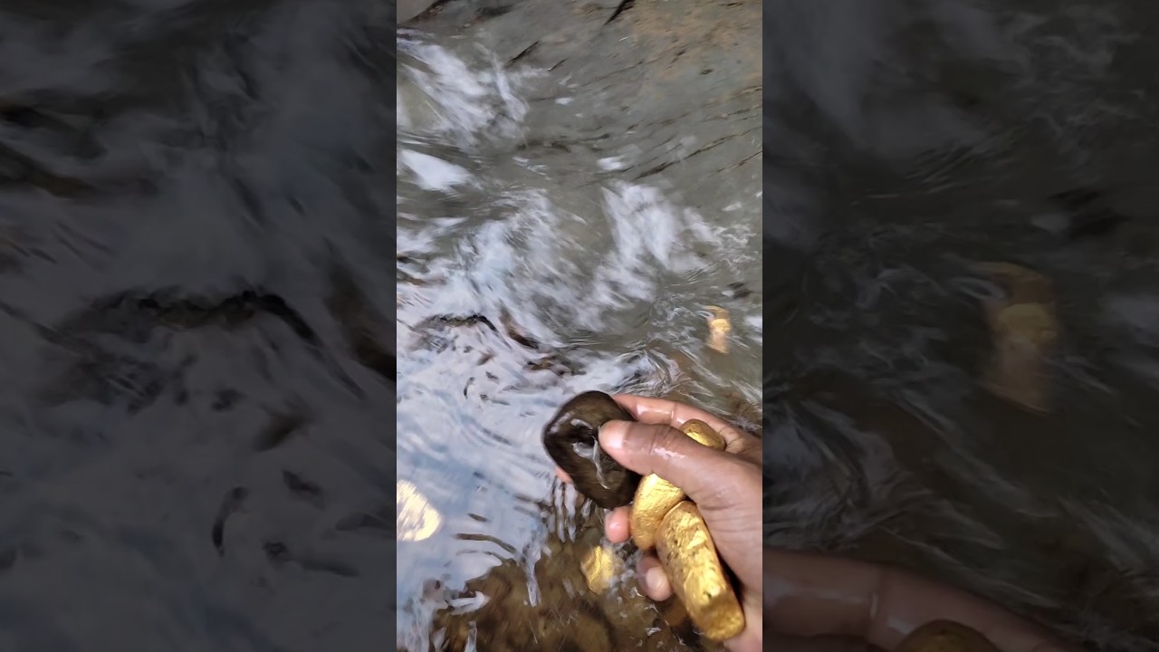 Gold stones, gold real hunt | treasure hunt, gold found in River | 