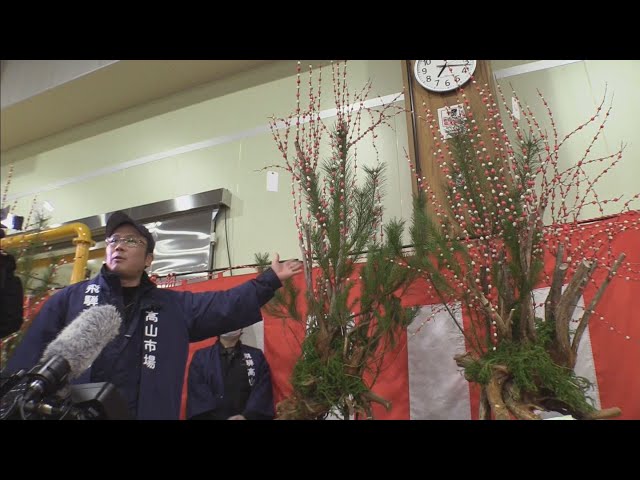 飛騨の新春に彩り 新市場で恒例の花もち市　岐阜県高山市