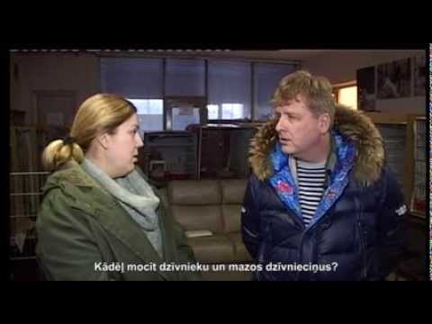 Video: Nedēļas adaptējamais suks - Cooper