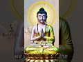 Where Is My Mind in This Chaotic World #buddhasheart #mindfulness #motivation