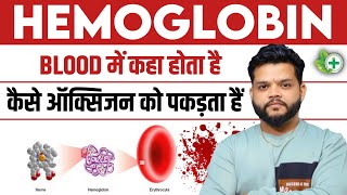 Hemoglobin Explained In Hindi - Structure Functions By Gyanear