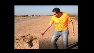 SAN FERNANDO - RINCON - CATAMARCA - ARGENTINA