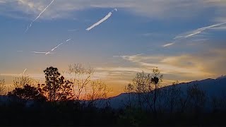 American Eagle Foundation—Our Story Continues