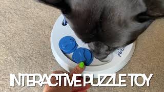 Interactive Dog Puzzle Toy screenshot 4