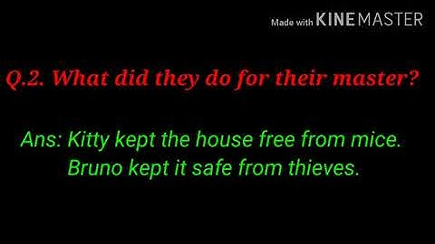 Class 3 English Cats and Dogs Questions And Answers