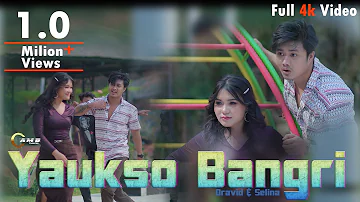 Yaukso Bangri | New Kaubru Official Music Video | Dravid |Selina | NK Bruham | Momi Congpreng