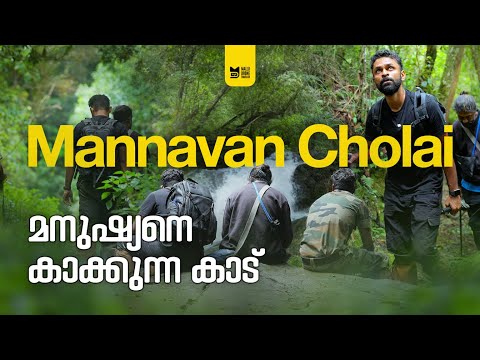 Mannavan Cholai(മന്നവൻ ചോലൈ) - Kanthalloor’s Hidden Forest That Saves 10 Villages!