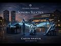 Caelum Apertum (Open Sky) | Sonora Fluctus Movement VII | Neoclassical Electronic Journey 2026