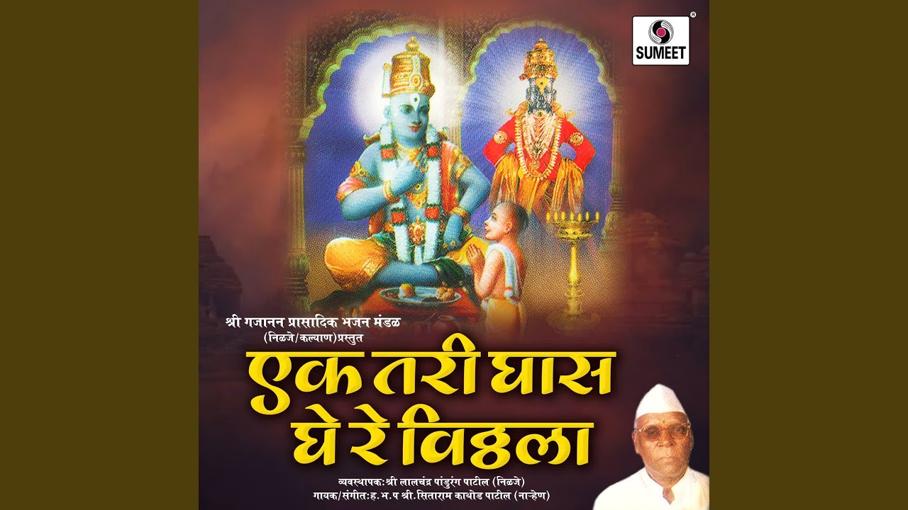 Doghi Bahini Savti Zalya