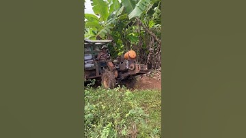 Xe công nông một cầu chở lúa leo núi #shortvideo