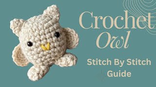 Crochet a Cute Owl! 🦉 The Perfect Scrap Yarn Project