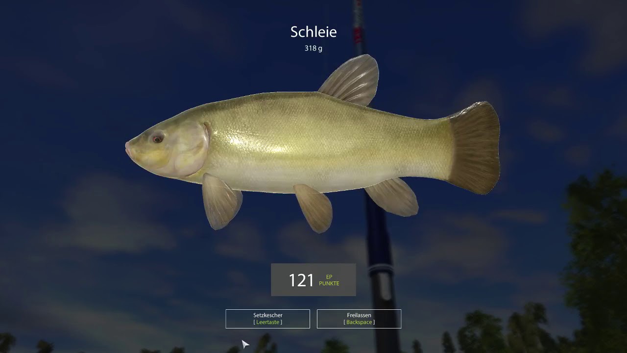 JPG - ein Anfänger auf Umwegen