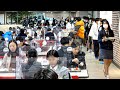 압도적인 학교 급식 스케일! 케이준 치킨, 우동까지 만드는 생생한 현장 / Amazing! Korean School Chicken Lunch / korean street food