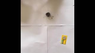 How to make a LDR vibrating bug
