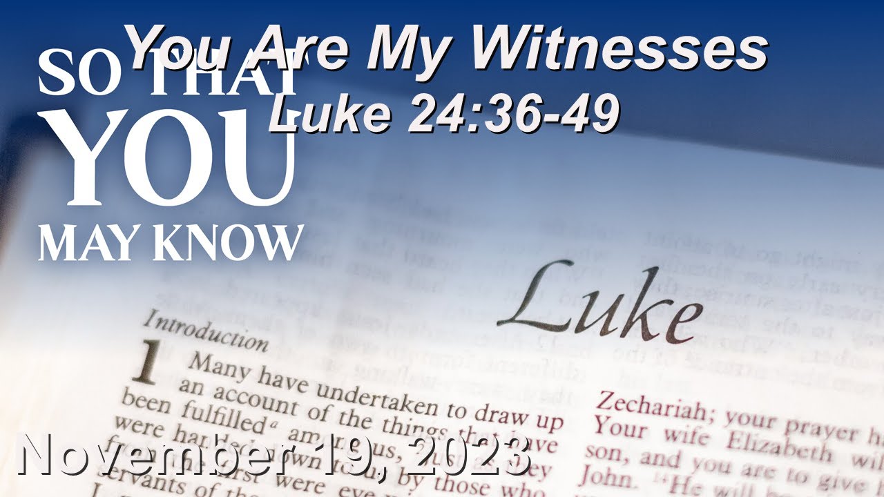 November 19 Sermon You Are My Witnesses Luke 243649 YouTube