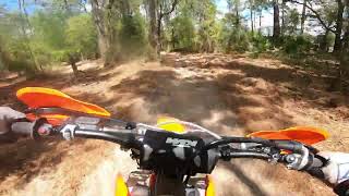 Double tree hit - Croom - March 25 2023