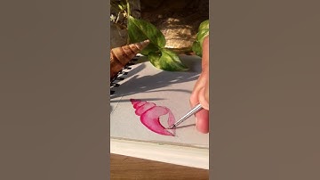 watercolour seashell drawing |#short | #shortvideo |#viral