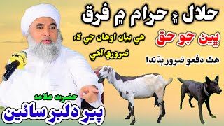 Halal Aien Haram Mein Farq Bhen Jo Haq Hazrat Alama Pir Dilber Sain New Bayan 2025 Takreer